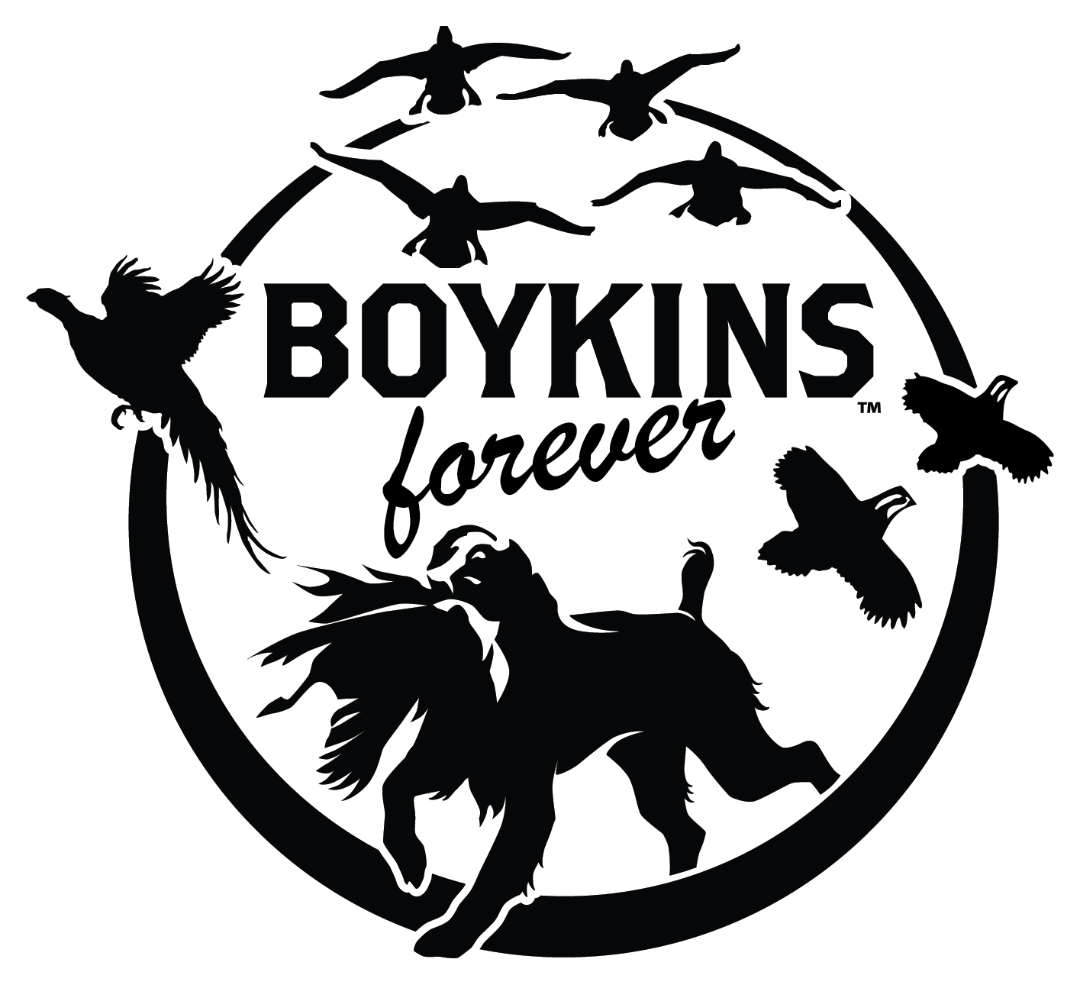 Boykins Forever Decal Boykin Life