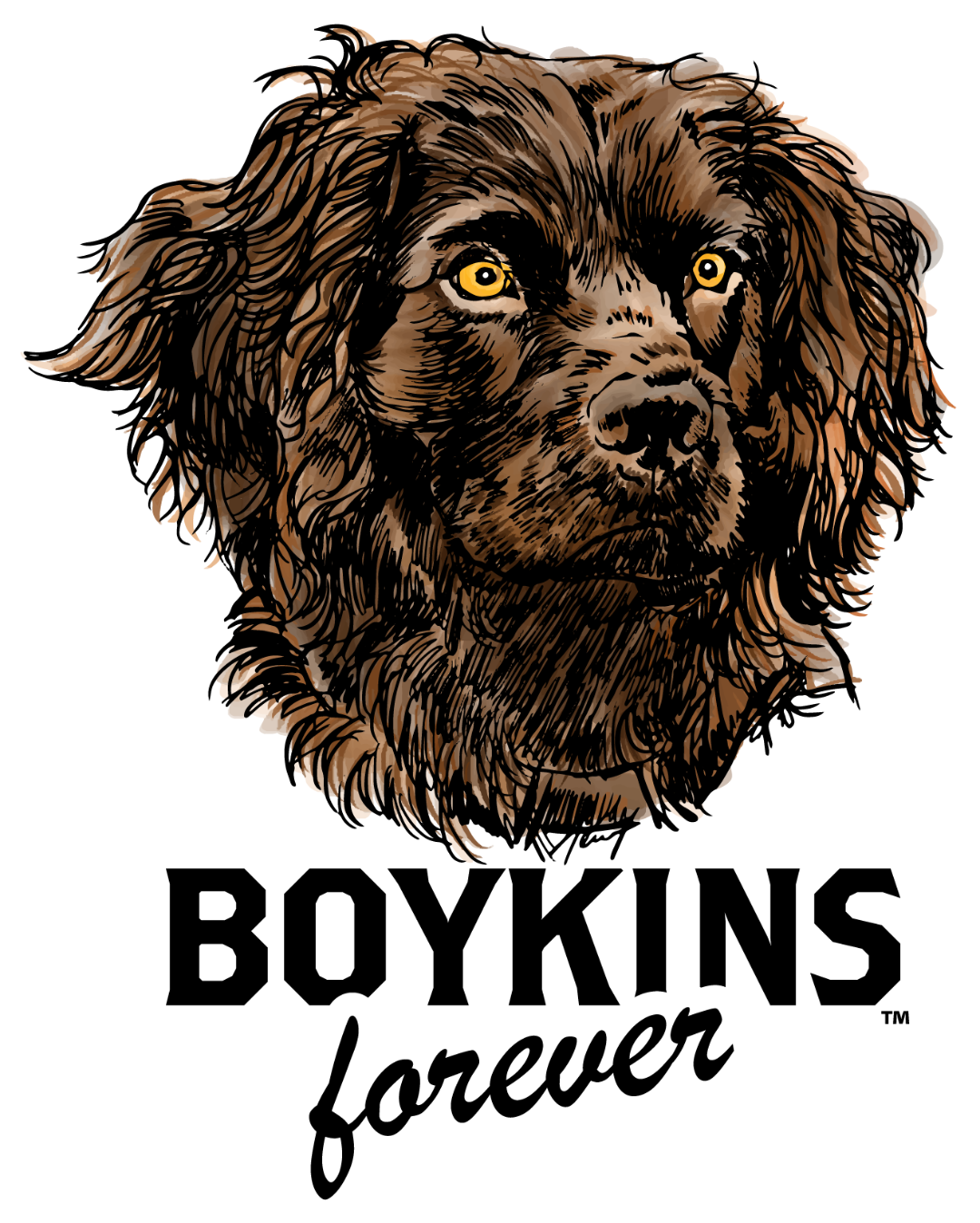 Boykin Spaniel Decals and Stickers Boykin Life