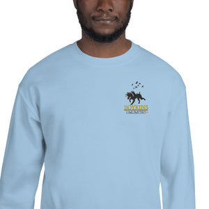 Embroidered - Boykins Unlimited - Unisex Sweatshirt